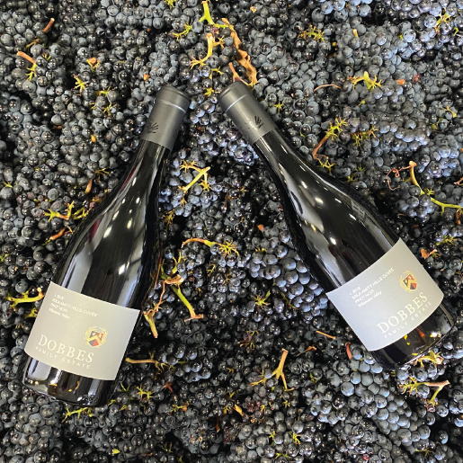 Eola-Amity Hills AVA Pinot Noir Duo
