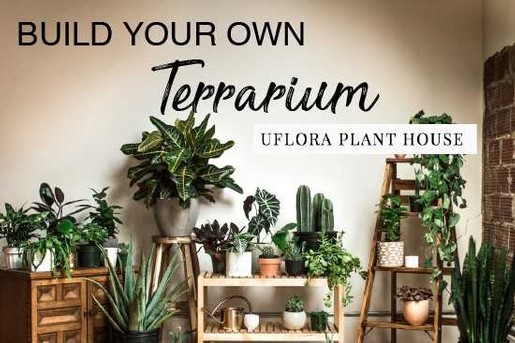 Terrarium Building Workshop - March 24th, 2019 11am-1pm Image